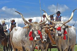 Game Fair 2015 Game Fair 2015