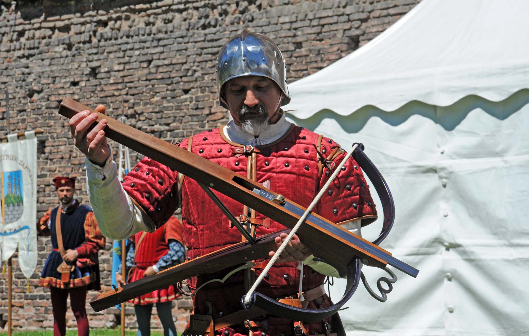 tecnica: La Balestra Veloce di Leonardo da Vinci