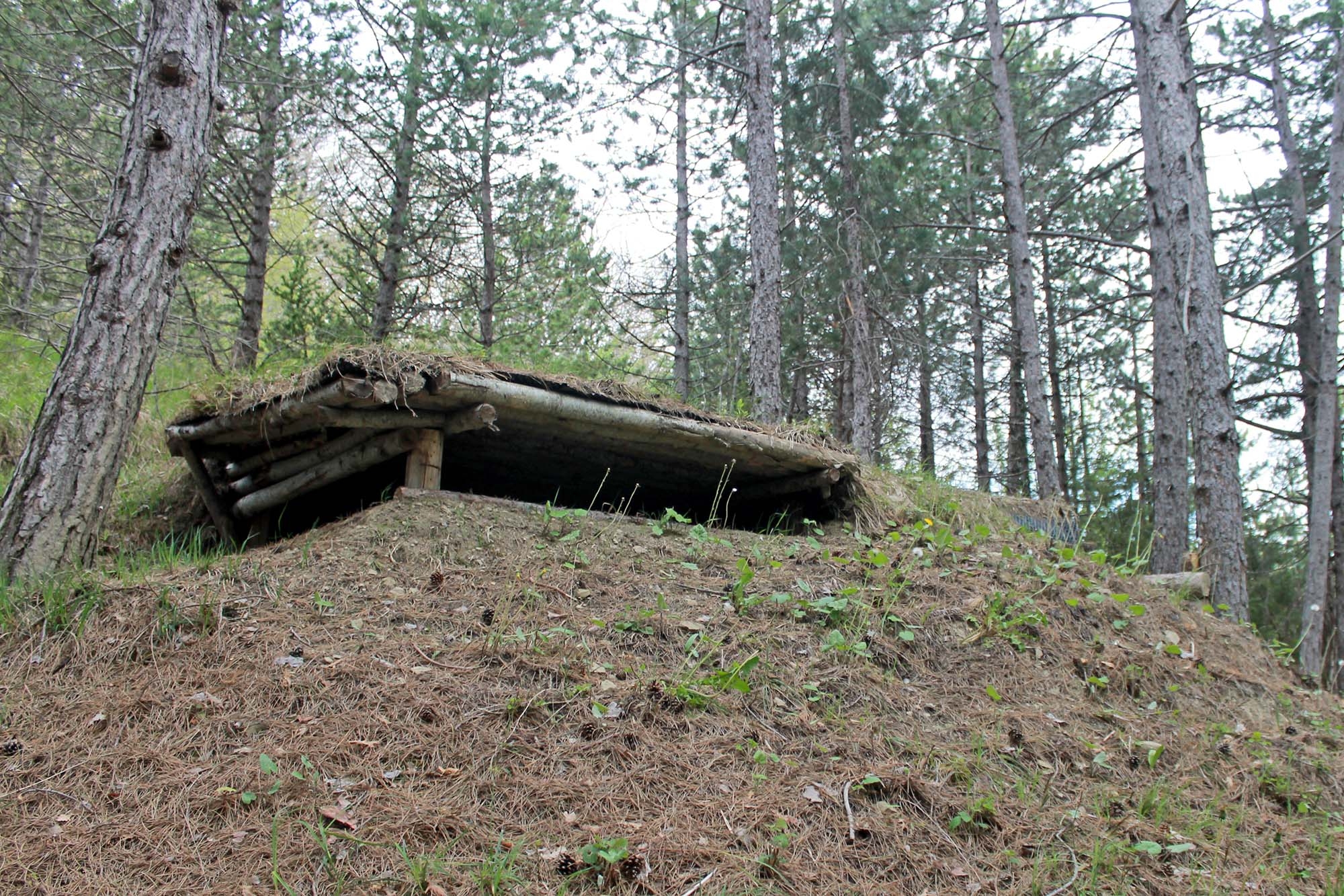 cultura: Percorsi storici lungo la Linea Gotica: La postazione antiaerea Flak a difesa di Rimini