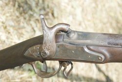 Rievocazione storica. La battaglia di Solferino nel suo 156° anniversario Fucile Charleville