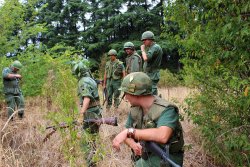 Brothers in Vietnam Brothers in Vietnam
