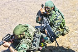 Brothers in Vietnam Brothers in Vietnam