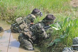 Brothers in Vietnam Brothers in Vietnam