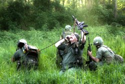 Brothers in Vietnam Brothers in Vietnam