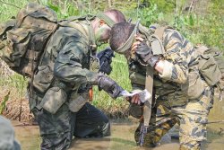 Brothers in Vietnam Brothers in Vietnam