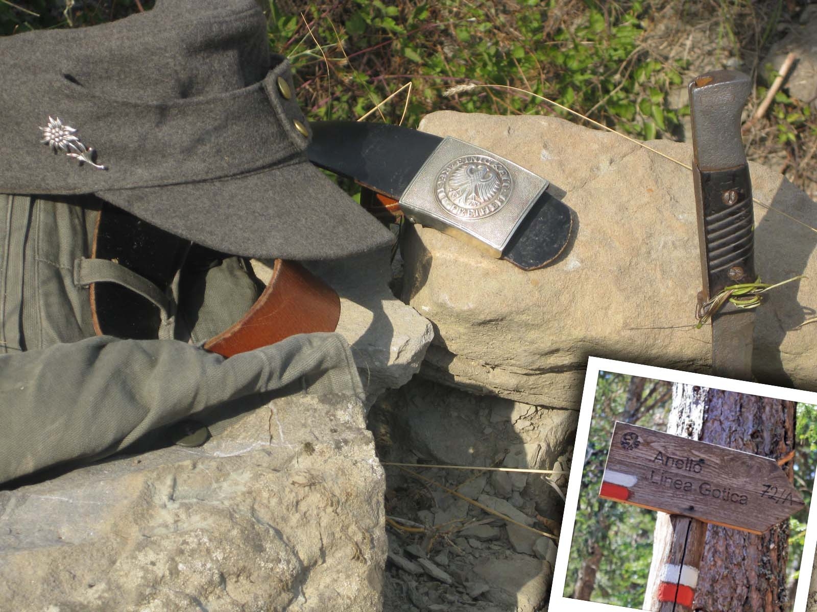 cultura: Seconda Guerra Mondiale. L' Anello della Linea Gotica