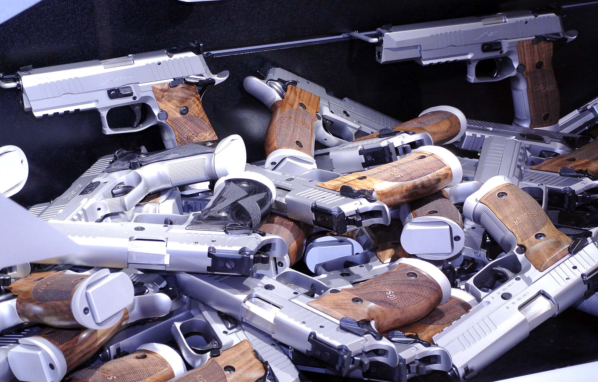 Task Force sulle armi da fuoco