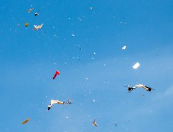 Attenti al drone! Scienza e tecnologia al servizio del tiro sportivo Attenti al drone! Scienza e tecnologia al servizio del tiro sportivo