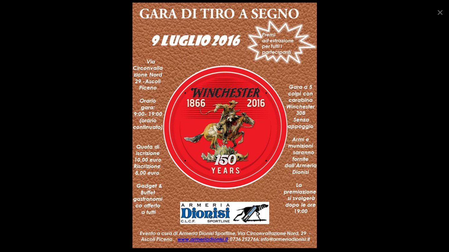 logo gara di tiro a segno