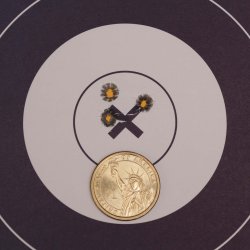 Bushmaster Xm-15 E2S cal. .300 Aac Blackout Rosata a 100 metri con munizioni Remington Premier Match 125 grani