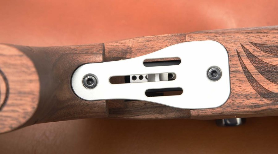 Carabina da tiro Chiappa Fas 611, propedeutica di classe Dettaglio della carabina Chiappa Fas 611