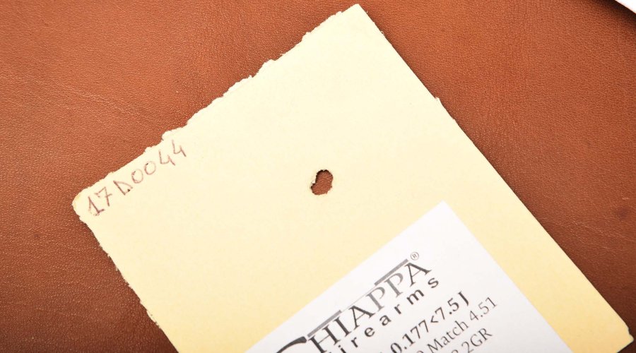 Carabina da tiro Chiappa Fas 611, propedeutica di classe Rosata con il fucile PCP Chiappa Fas 611