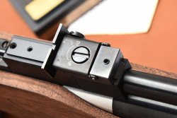 Carabina da tiro Chiappa Fas 611, propedeutica di classe Tacca di mira della carabina Chiappa Fas 611