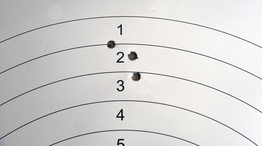 Rosata con munizioni Remington Premier Match