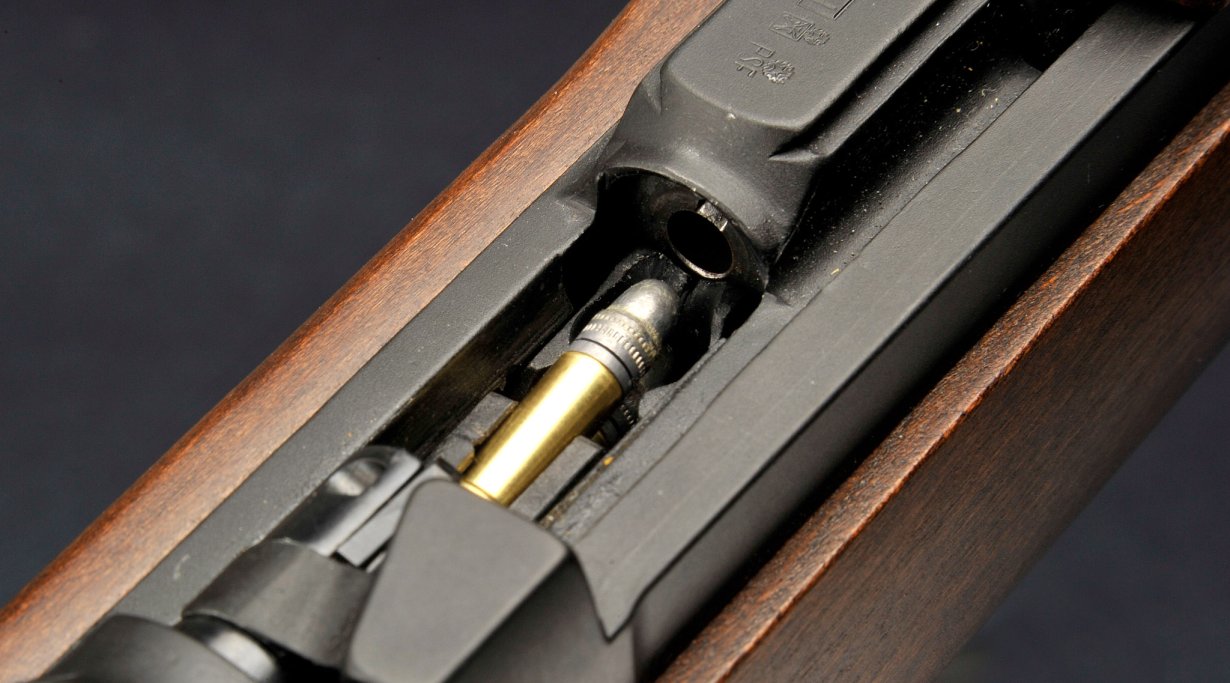 Armi Chiappa M1-22