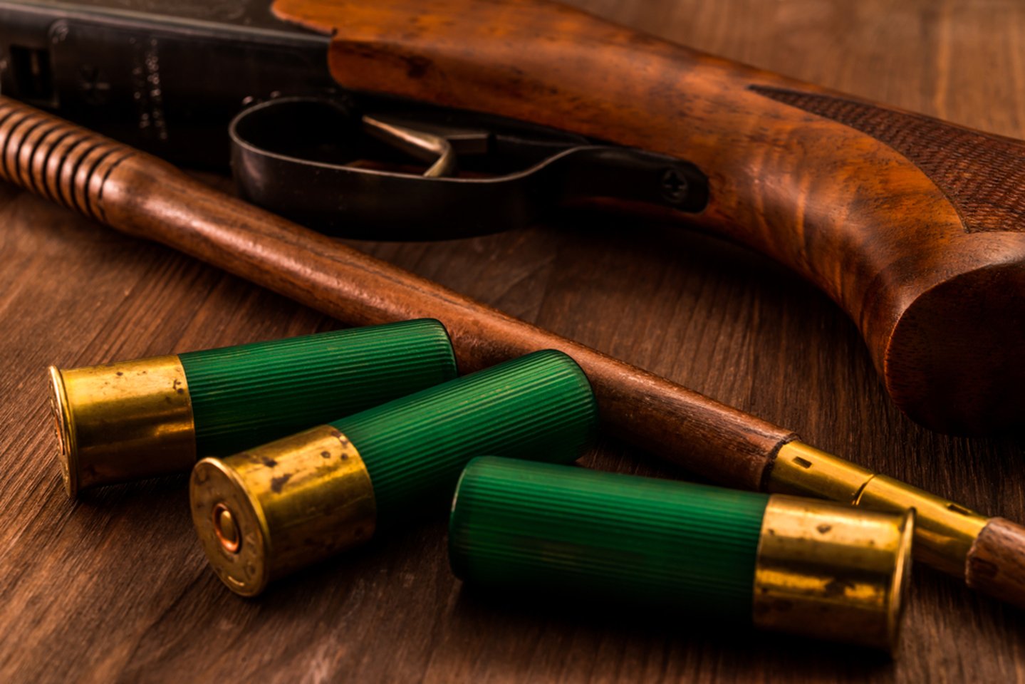 Conarmi: corso di manutenzione e riparazione dei calci da fucile Munizioni e fucile