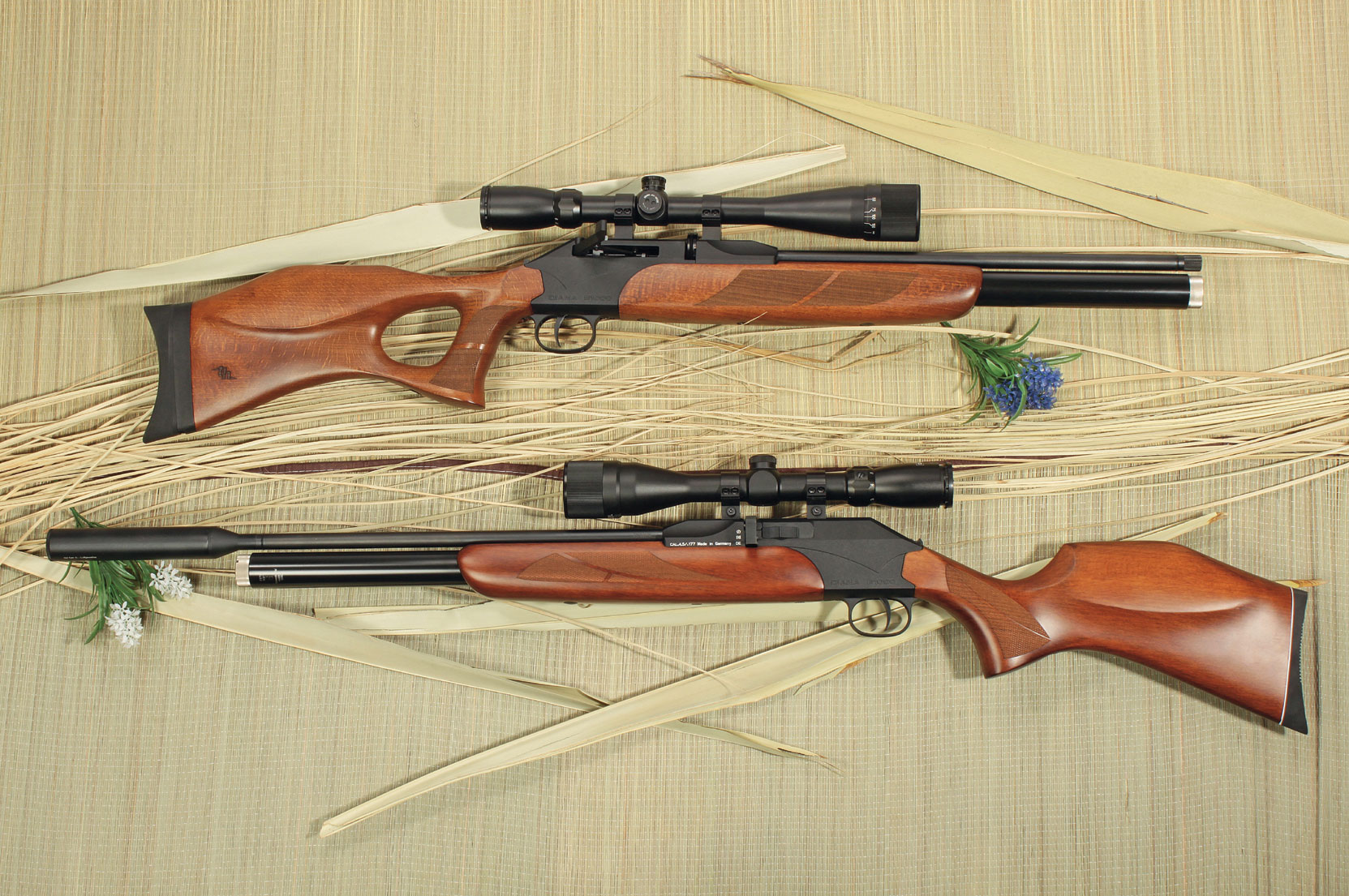 diana-airguns: Test: le carabine ad aria compressa Diana P 1000 S e P 1000 TH