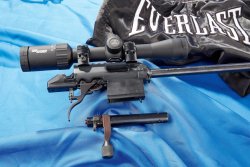 Diana R-22 in calibro.22 LR, ritorno alla percussione anulare Calcio della Diana R-22