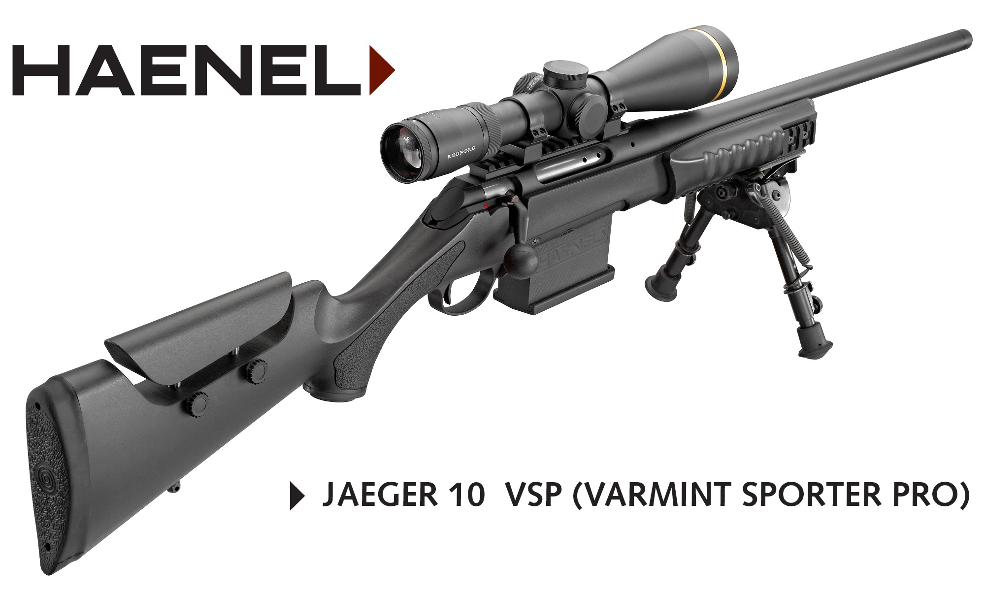 fucili: Haenel Jaeger 10 VSP