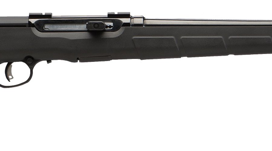 Savage Arms A17
