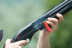 Winchester Super-X Pump con cameratura "Supermagnum" Winchester Super-X Pump con cameratura "Supermagnum"