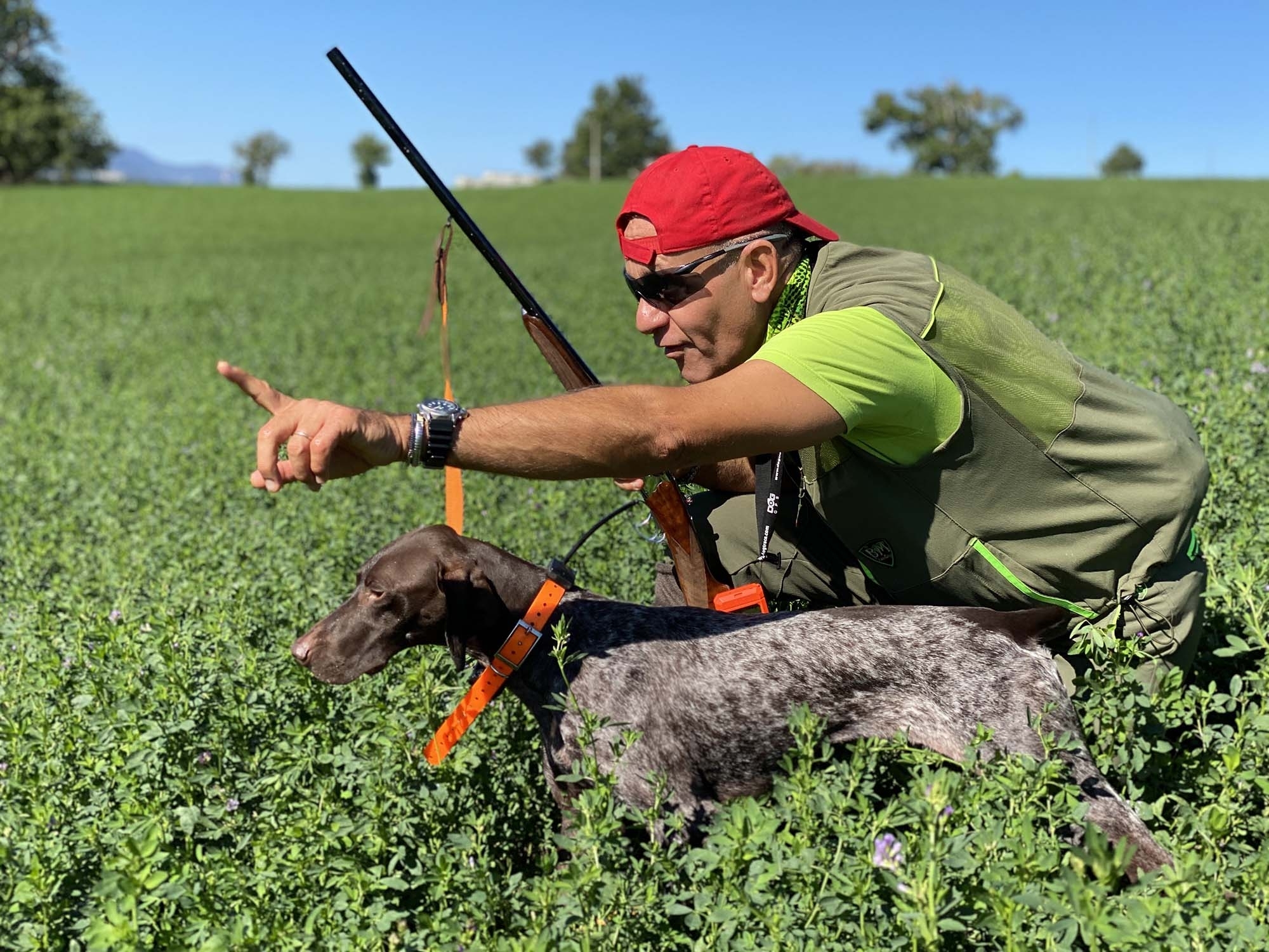 legge: A caccia col porto d’armi scaduto: legittimo il divieto di detenzione