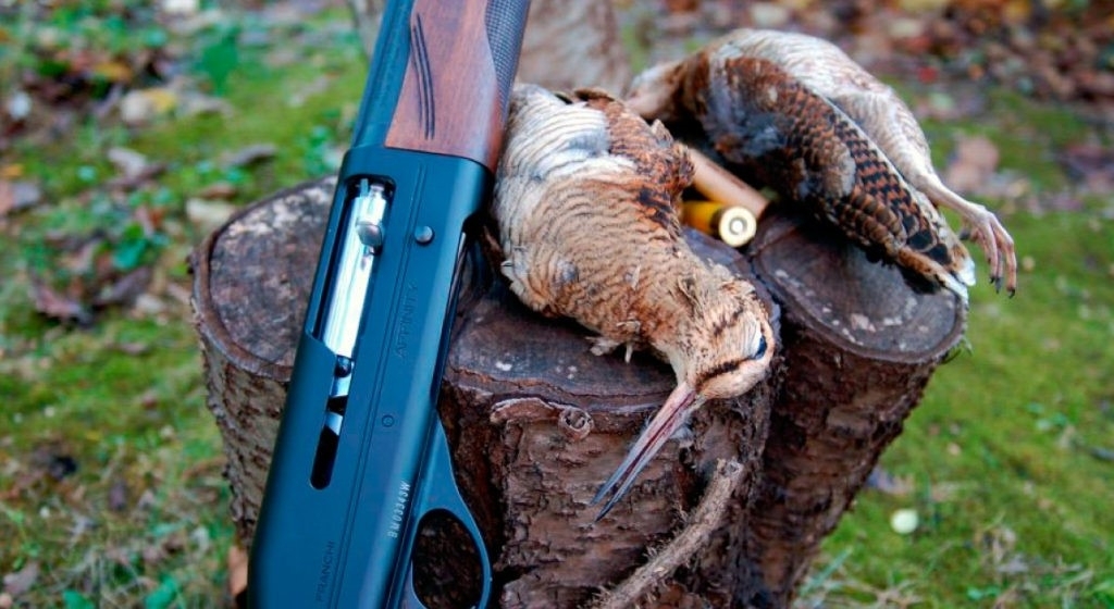 legge: Arma da fuoco smarrita: come ci si deve comportare? 