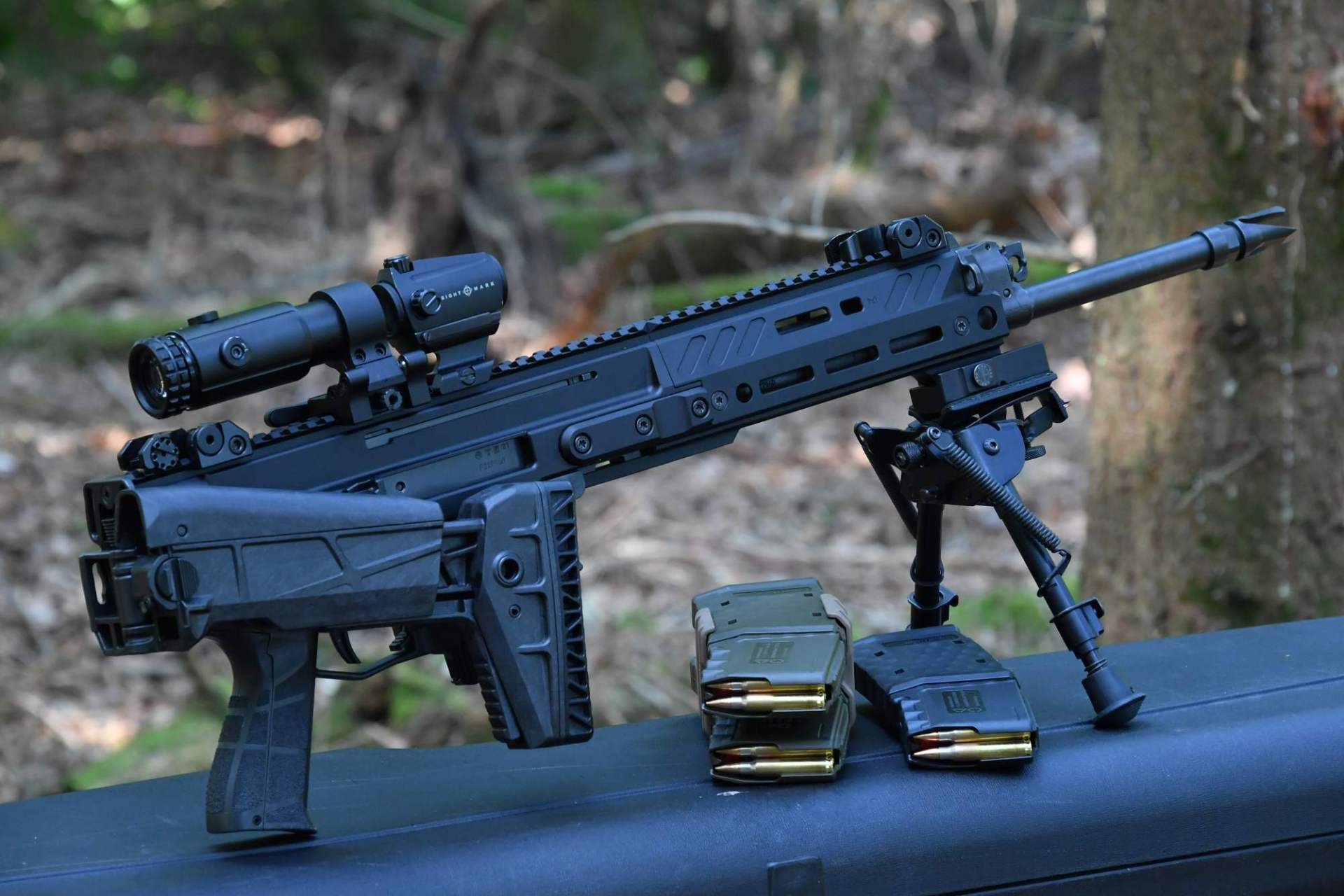 legge: Approfondimento: ricaricare con i bossoli sparati con armi da guerra. Che cosa dice la legge. legge: Approfondimento: ricaricare con i bossoli sparati con armi da guerra. Che cosa dice la legge.