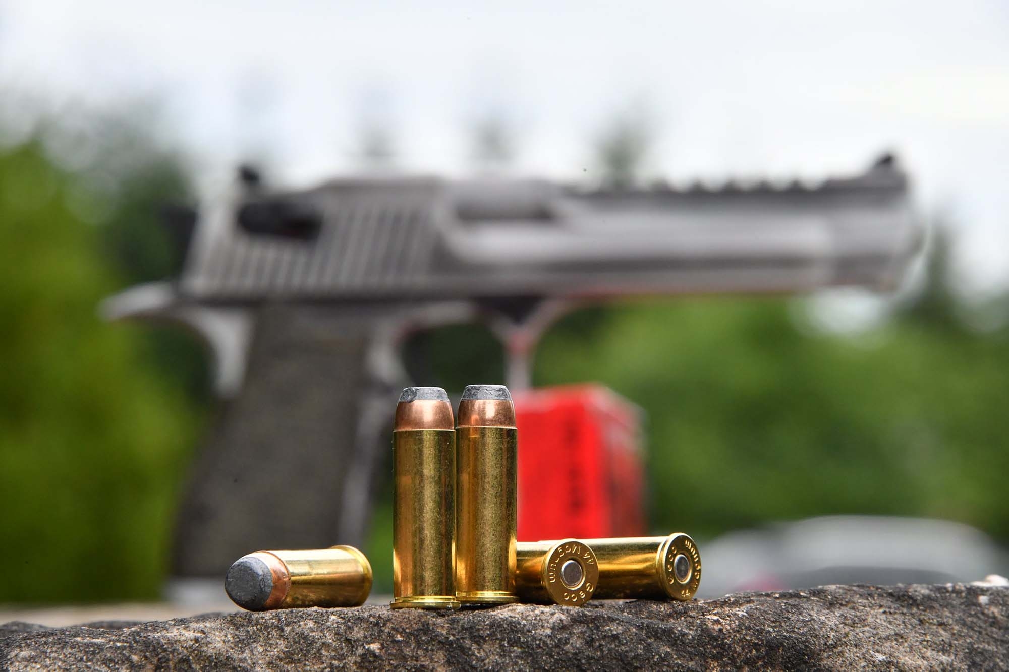 legge: Rigetto istanza per carta europea d’arma da fuoco: interessante sentenza del Consiglio di Stato