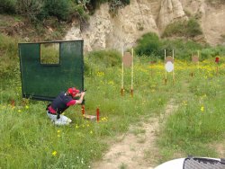 Ancora sul Correttivo 204... Ancora sul Correttivo 204...