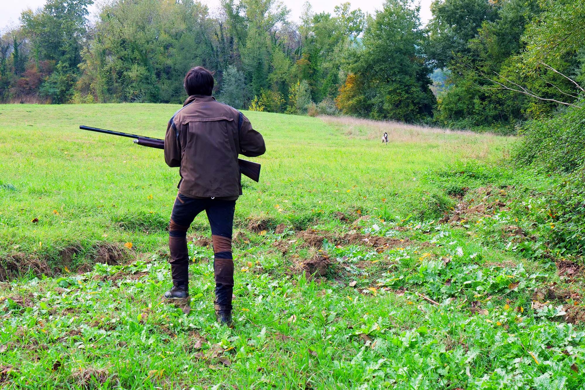 legge: I ricorsi contro i Calendari Venatori Regionali