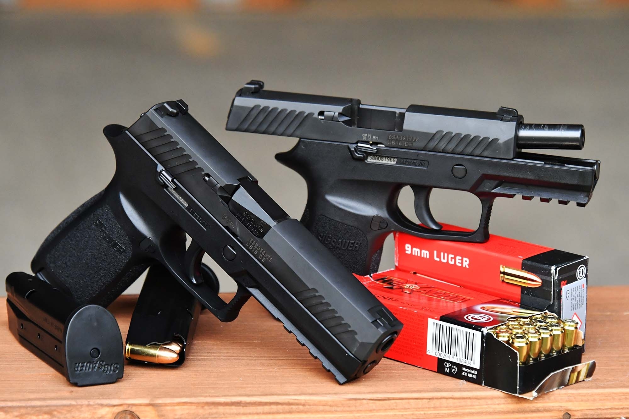 legge: Mancata denuncia a seguito di trasferimento di armi: interessante sentenza della Corte Costituzionale 