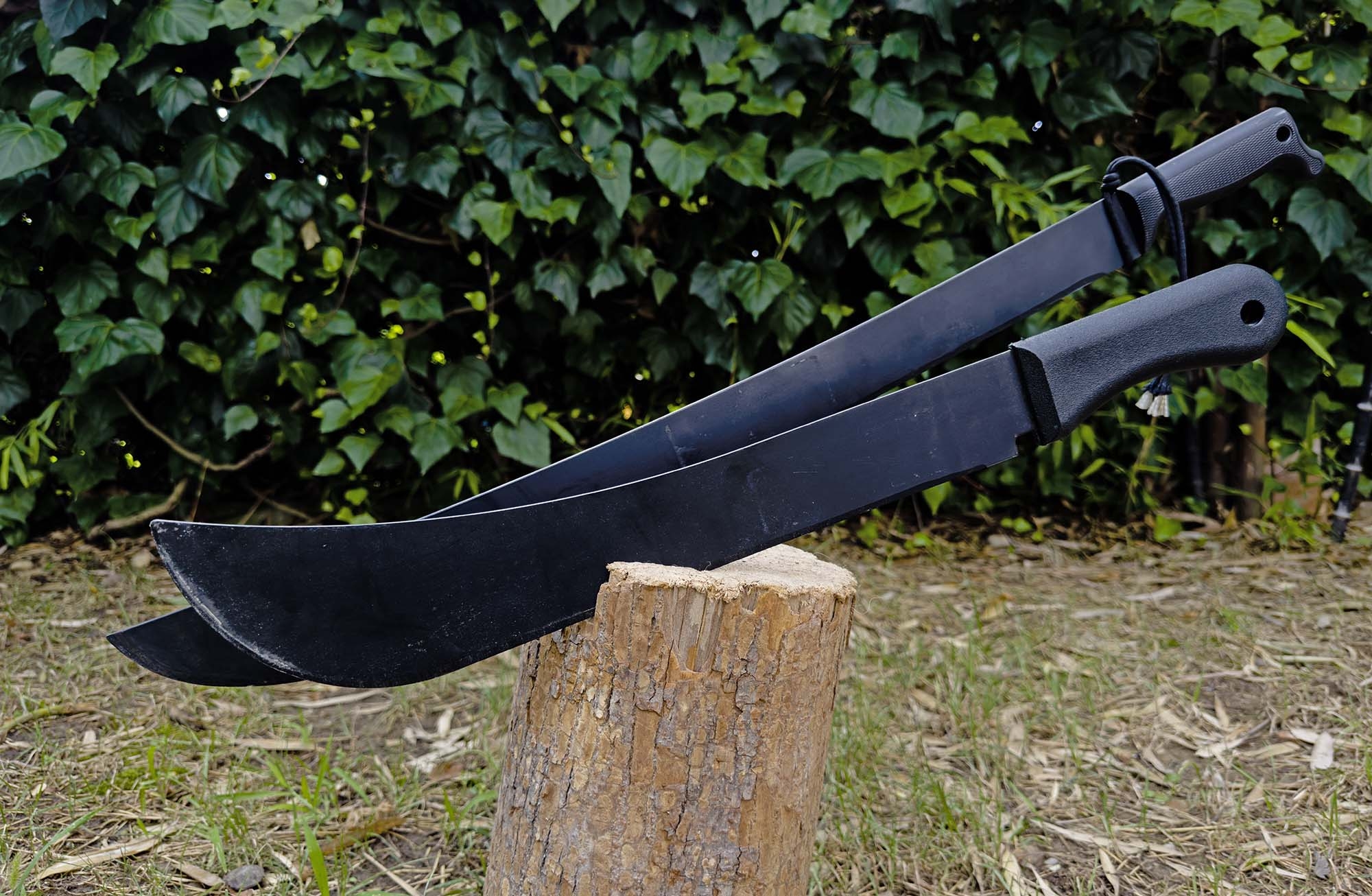 legge: Porto di strumenti atti ad offendere: nuova pronuncia della Corte Costituzionale 