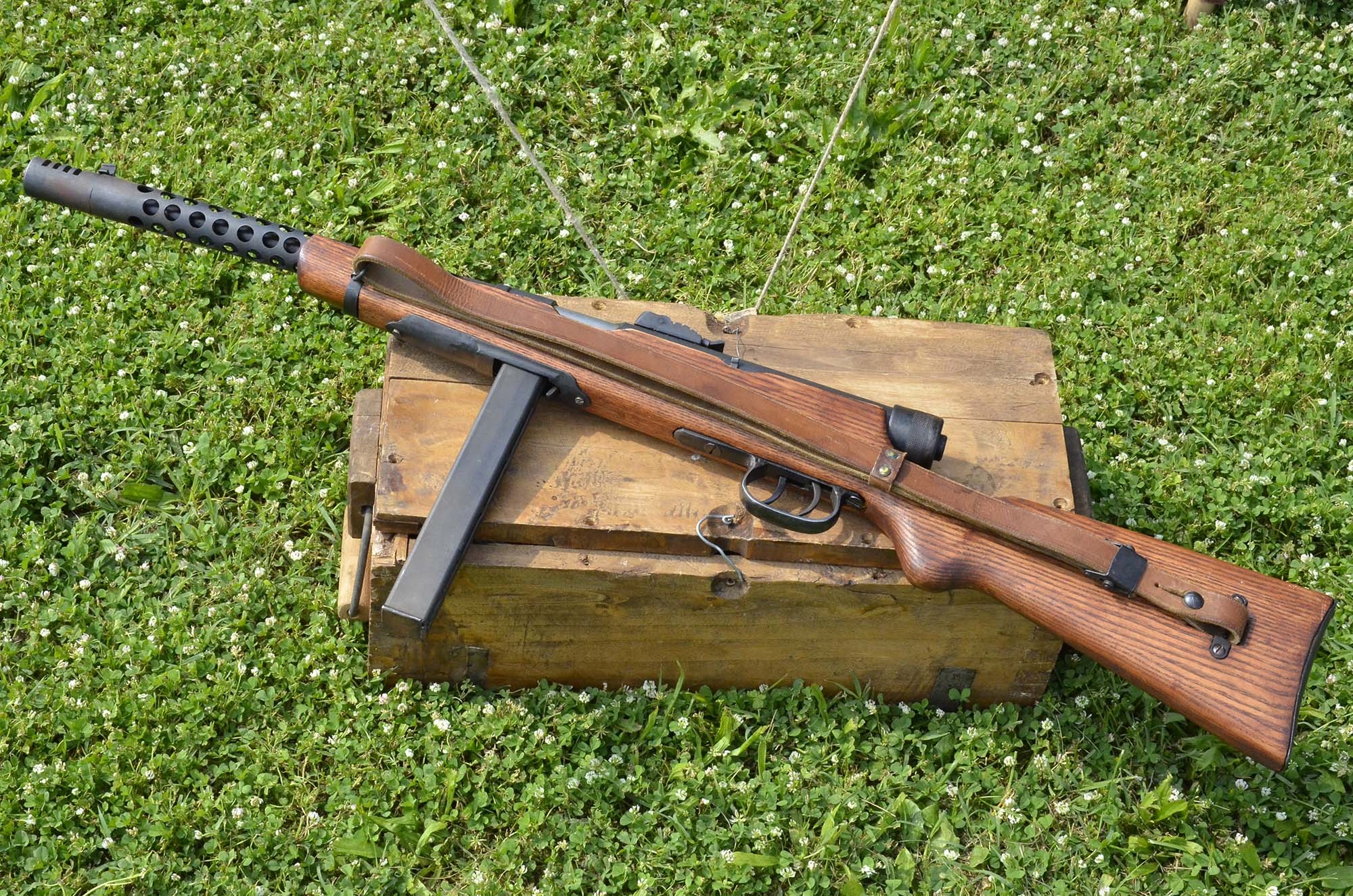 legge: Procedura per la disattivazione di armi comuni