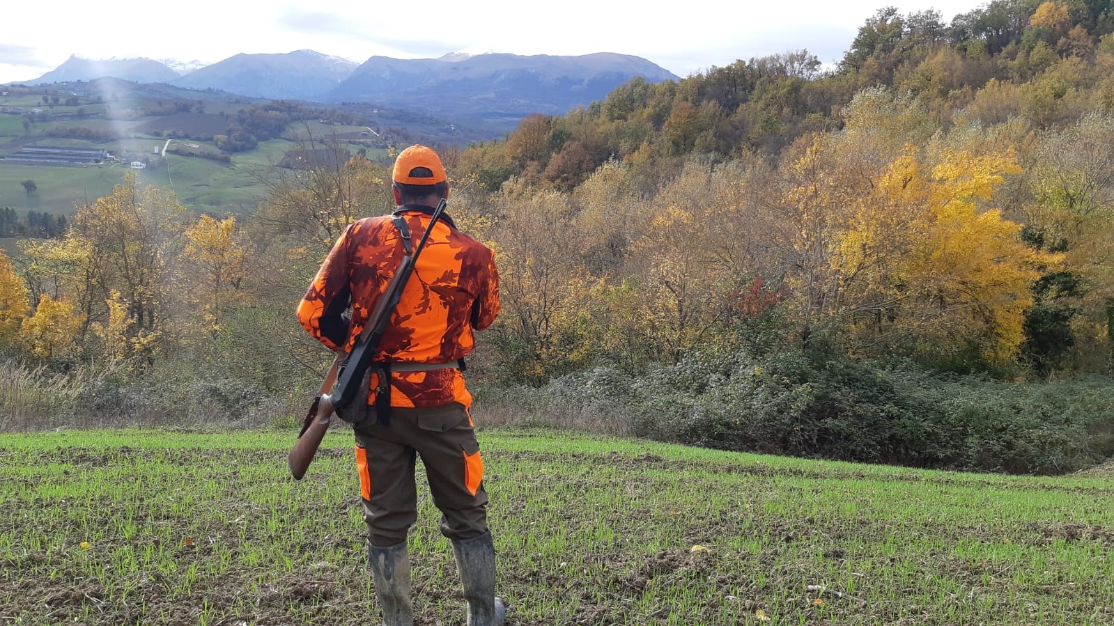 legge: Rinnovo porto d’armi, non  necessario consegnare il documento ancora valido