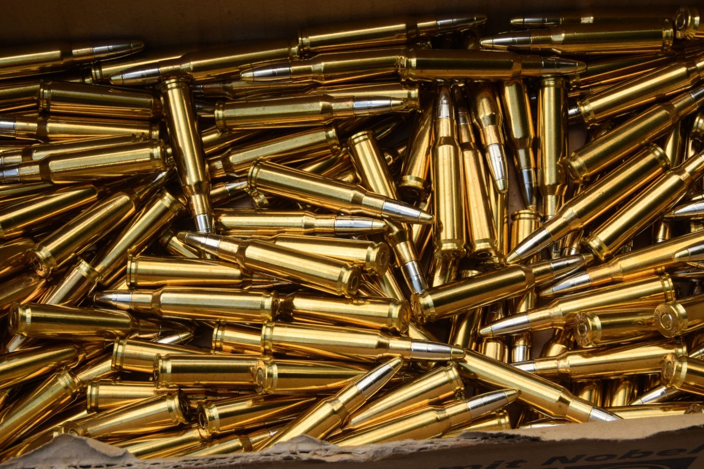 Munizioni da caccia RWS Evolution