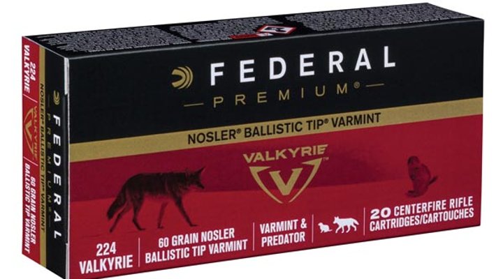 Confezione di Valkyrie Nosler Ballistic Tip .224