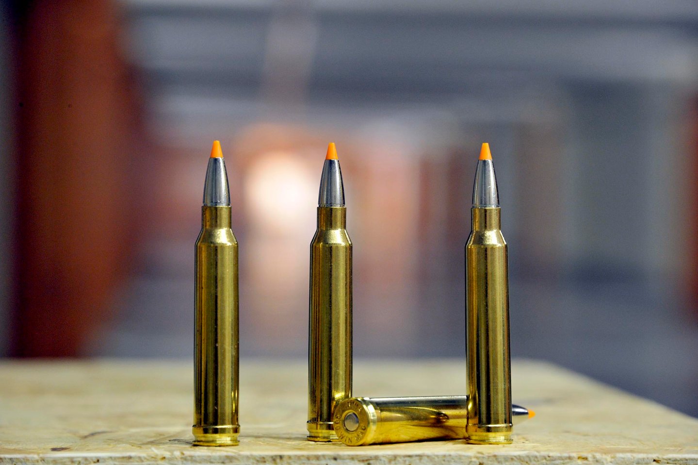 Munizione .300 Winchester Magnum Munizione .300 Winchester Magnum nel caricamento RWS HIT senza piombo con palla da 165 grani