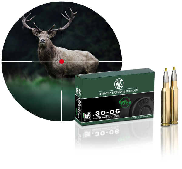 munizioni: Test: Munizioni senza piombo  RWS EVOLUTION GREEN