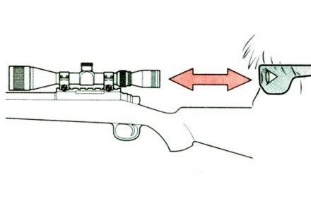 Schema estrazione pupillare Schema estrazione pupillare