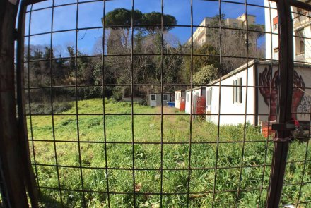 Distorsione a barilotto