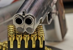 Arsenal Firearms AF-2011 A1 Second Century