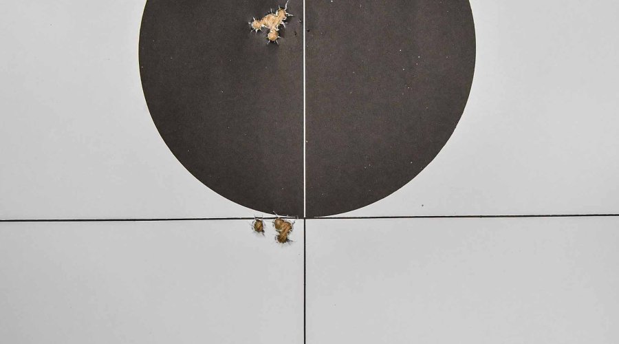Beretta Fusion Black: rosata 15 metri