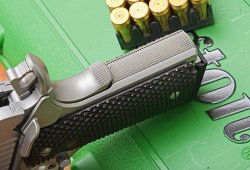 Remington 1911-R1 Enhanced SS Dorso impugnatura della Remington 1911-R1 Enhanced SS