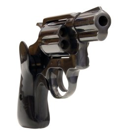Colt Detective Colt Detective