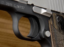 SIG-Sauer P238 SIG-Sauer P238