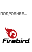 firebird.png