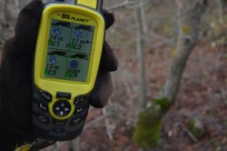 BS Planet Evomap Elite: радио-ошейник Radio-GPS для собак Дисплей пульта BS Planet Evomap Elite