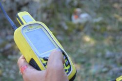 BS Planet Evomap Elite: радио-ошейник Radio-GPS для собак Пульт BS Planet Evomap Elite