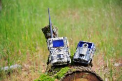 Minox DTC 700 and DTC 1100 wildlife cameras Minox DTC 1100 camouflage